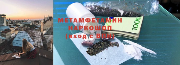 индика Алексин