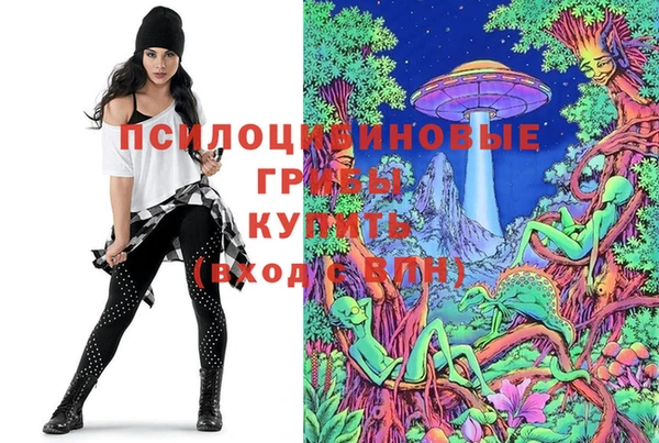 соль курить ск Алзамай