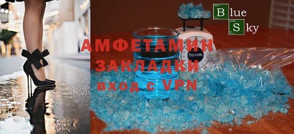 индика Алексин