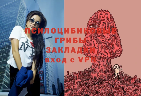 соль курить ск Алзамай